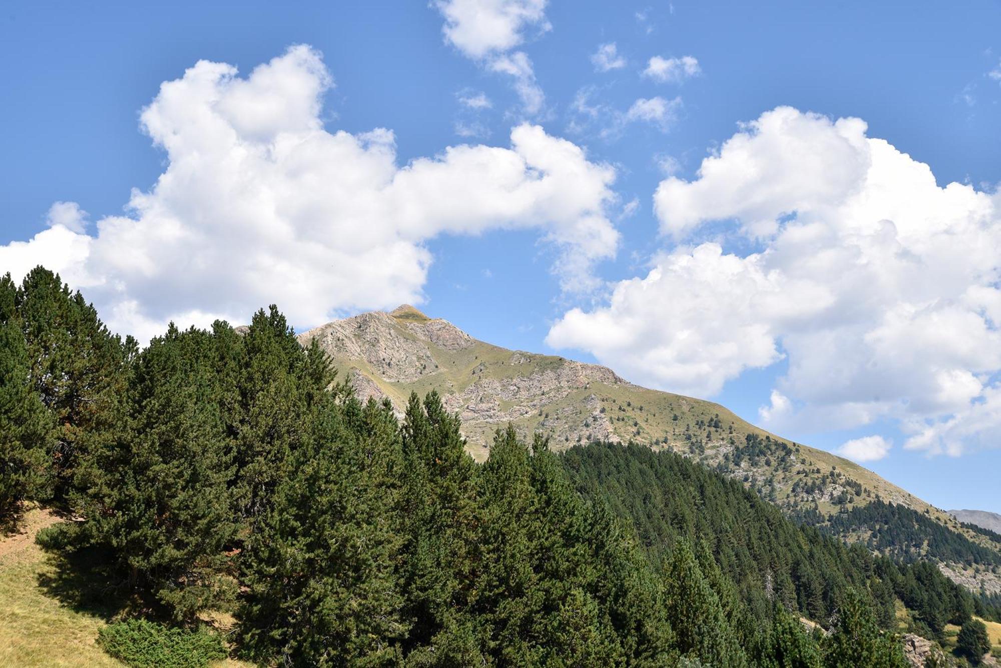 Nh Collection Andorra Palome Ξενοδοχείο Erts Εξωτερικό φωτογραφία